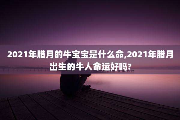 2021年腊月的牛宝宝是什么命,2021年腊月出生的牛人命运好吗?
