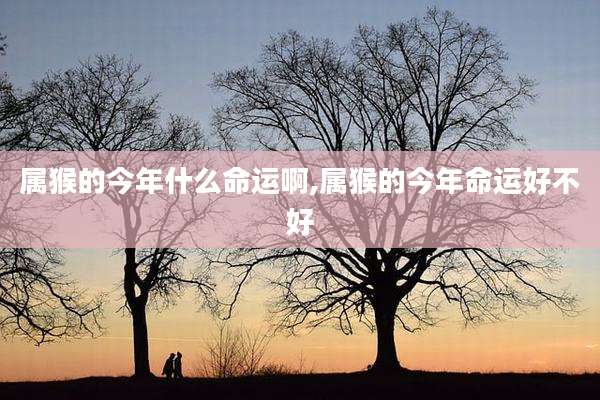 属猴的今年什么命运啊,属猴的今年命运好不好