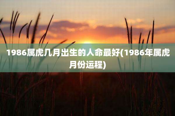 1986属虎几月出生的人命最好(1986年属虎月份运程)
