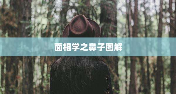 面相学之鼻子图解