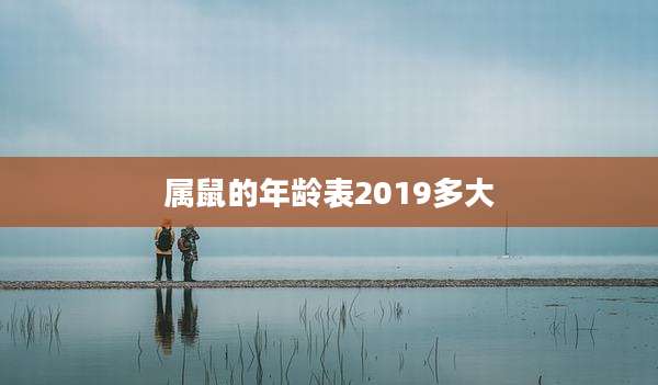 属鼠的年龄表2019多大