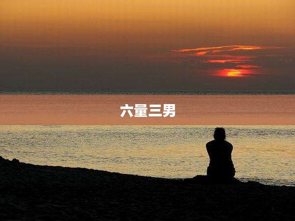 六量三男