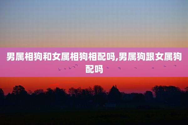 男属相狗和女属相狗相配吗,男属狗跟女属狗配吗