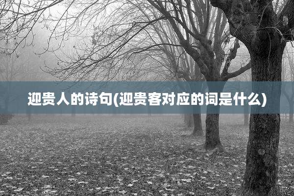 迎贵人的诗句(迎贵客对应的词是什么)