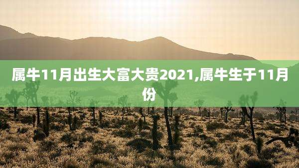属牛11月出生大富大贵2021,属牛生于11月份