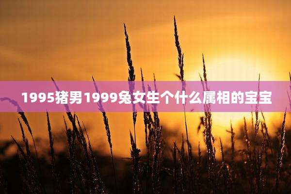 1995猪男1999兔女生个什么属相的宝宝