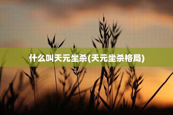 什么叫天元坐杀(天元坐杀格局)