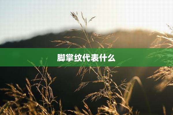 脚掌纹代表什么
