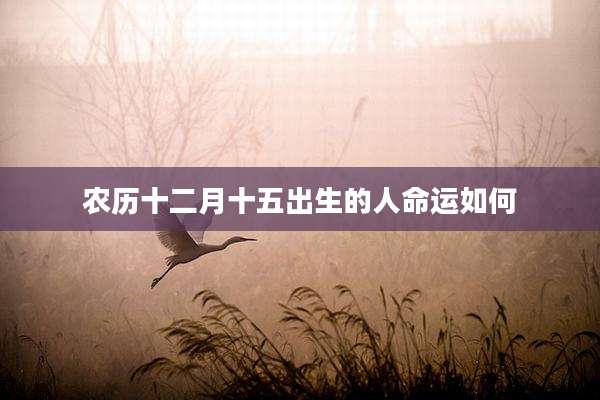 农历十二月十五出生的人命运如何