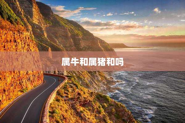 属牛和属猪和吗