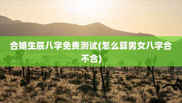 合婚生辰八字免费测试(怎么算男女八字合不合)