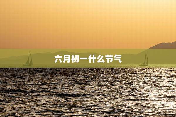 六月初一什么节气
