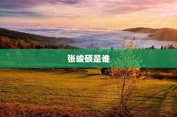 张峻硕是谁