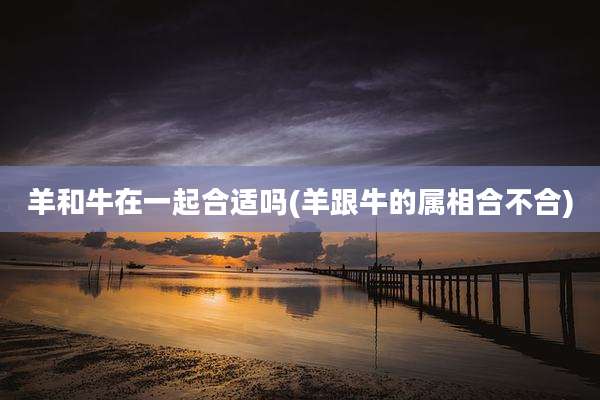 羊和牛在一起合适吗(羊跟牛的属相合不合)