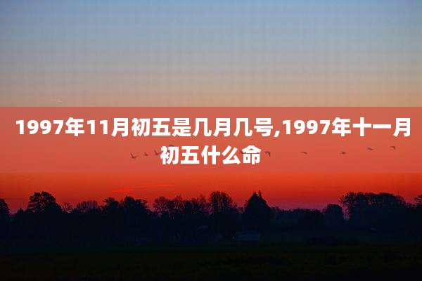 1997年11月初五是几月几号,1997年十一月初五什么命