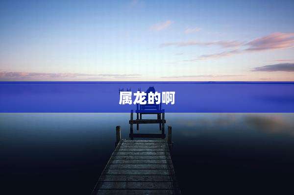 属龙的啊