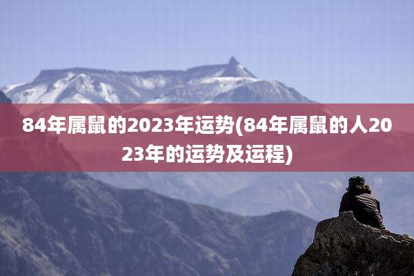 84年属鼠的2023年运势(84年属鼠的人2023年的运势及运程)