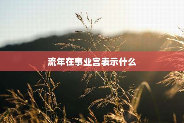 流年在事业宫表示什么