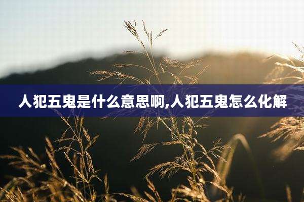 人犯五鬼是什么意思啊,人犯五鬼怎么化解