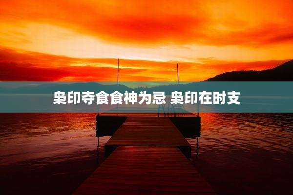 枭印夺食食神为忌 枭印在时支