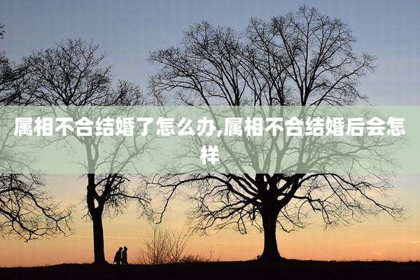 属相不合结婚了怎么办,属相不合结婚后会怎样
