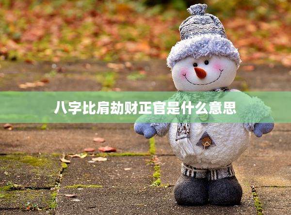 八字比肩劫财正官是什么意思