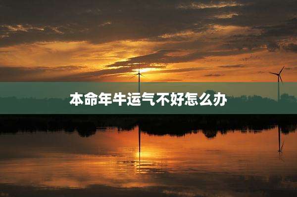 本命年牛运气不好怎么办
