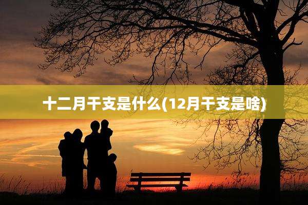 十二月干支是什么(12月干支是啥)