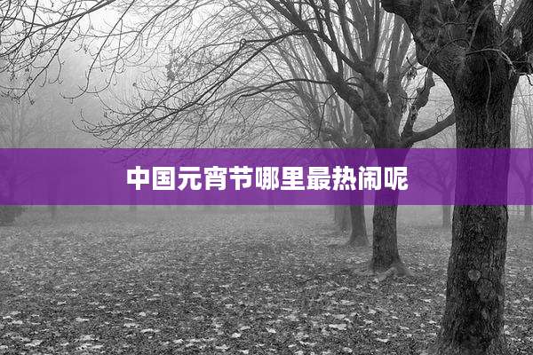 中国元宵节哪里最热闹呢