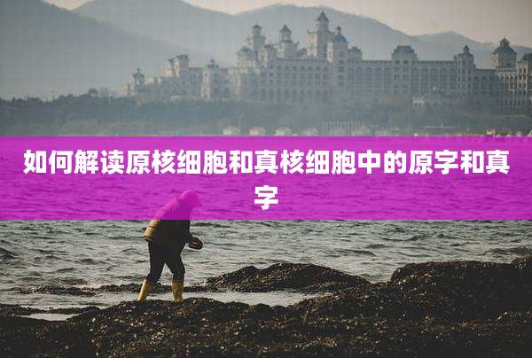 如何解读原核细胞和真核细胞中的原字和真字