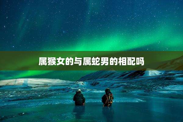 属猴女的与属蛇男的相配吗