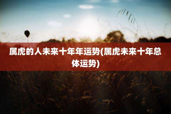 属虎的人未来十年年运势(属虎未来十年总体运势)