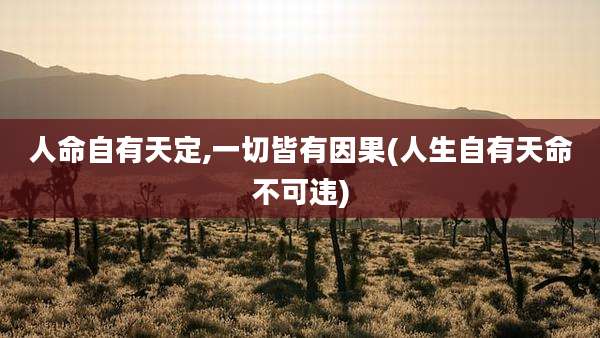 人命自有天定,一切皆有因果(人生自有天命不可违)