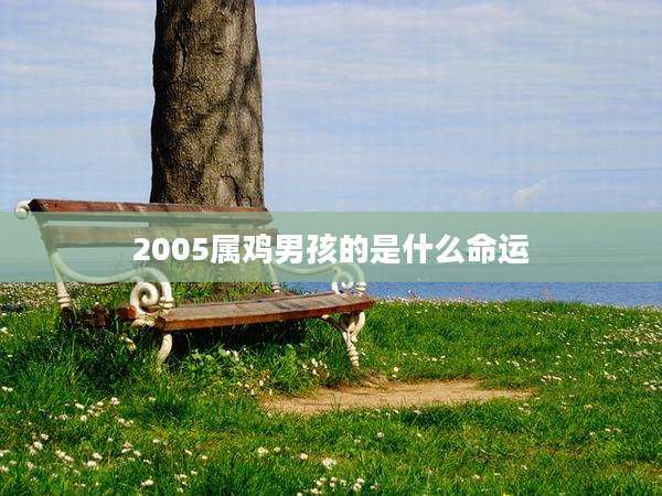 2005属鸡男孩的是什么命运