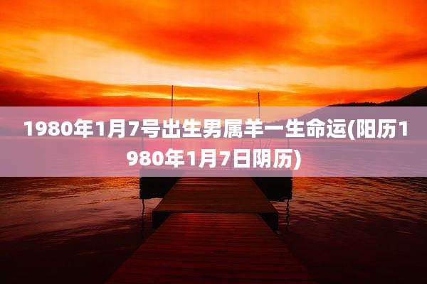 1980年1月7号出生男属羊一生命运(阳历1980年1月7日阴历)