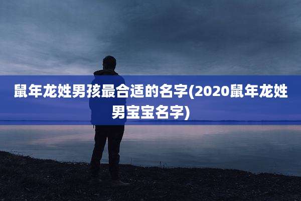 鼠年龙姓男孩最合适的名字(2020鼠年龙姓男宝宝名字)