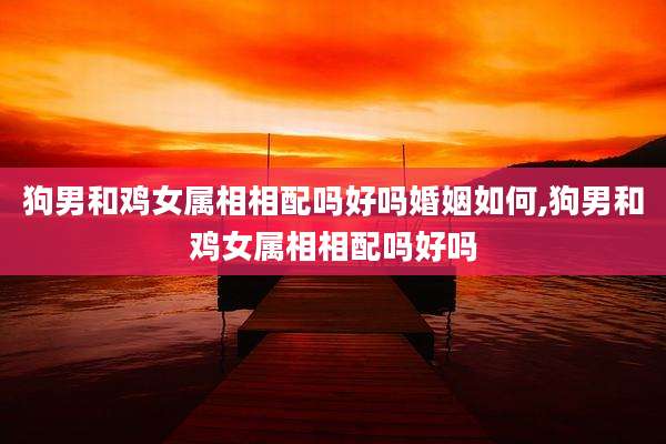 狗男和鸡女属相相配吗好吗婚姻如何,狗男和鸡女属相相配吗好吗