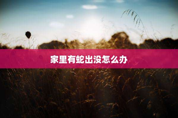家里有蛇出没怎么办