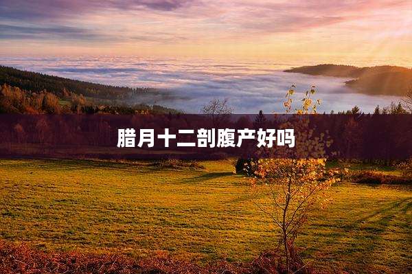 腊月十二剖腹产好吗
