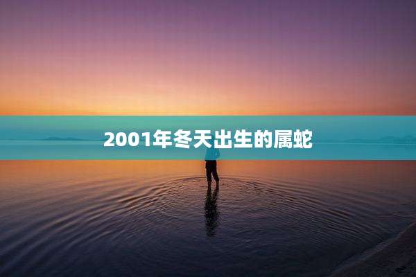 2001年冬天出生的属蛇