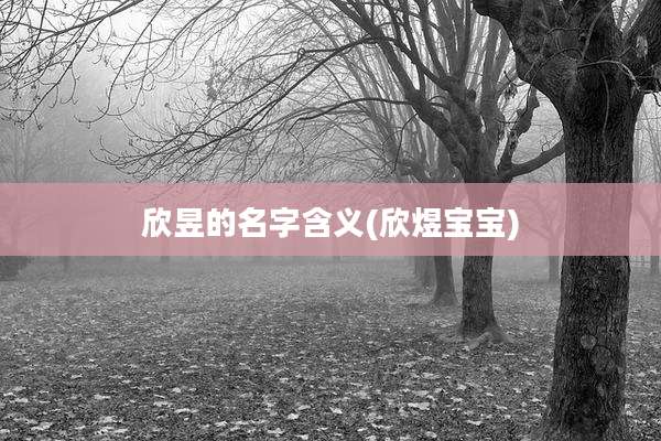 欣昱的名字含义(欣煜宝宝)