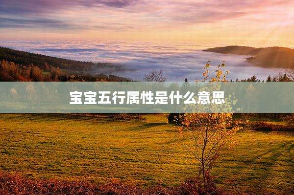 宝宝五行属性是什么意思