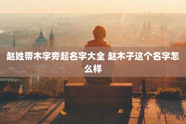 赵姓带木字旁起名字大全 赵木子这个名字怎么样