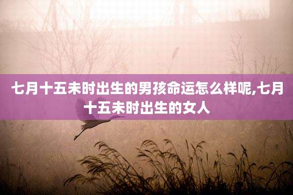 七月十五未时出生的男孩命运怎么样呢,七月十五未时出生的女人
