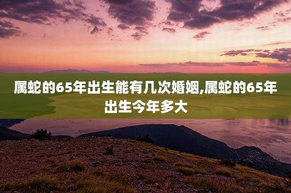 属蛇的65年出生能有几次婚姻,属蛇的65年出生今年多大
