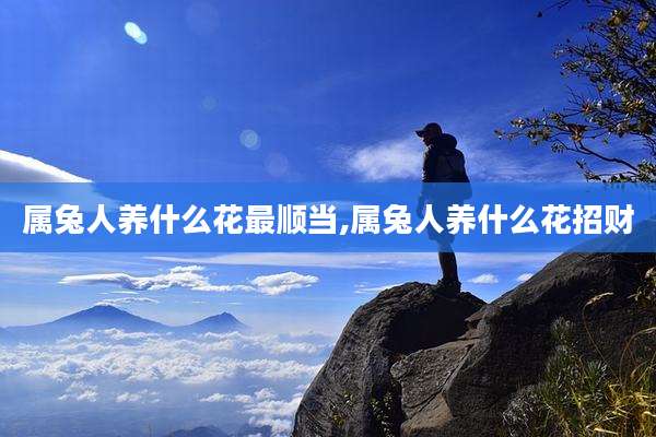 属兔人养什么花最顺当,属兔人养什么花招财