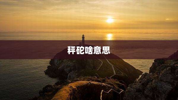秤砣啥意思