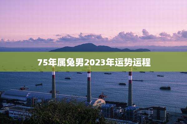 75年属兔男2023年运势运程