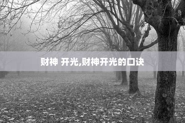 财神 开光,财神开光的口诀