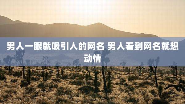 男人一眼就吸引人的网名 男人看到网名就想动情
